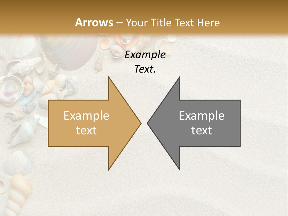 Nature Shore Conch PowerPoint Template