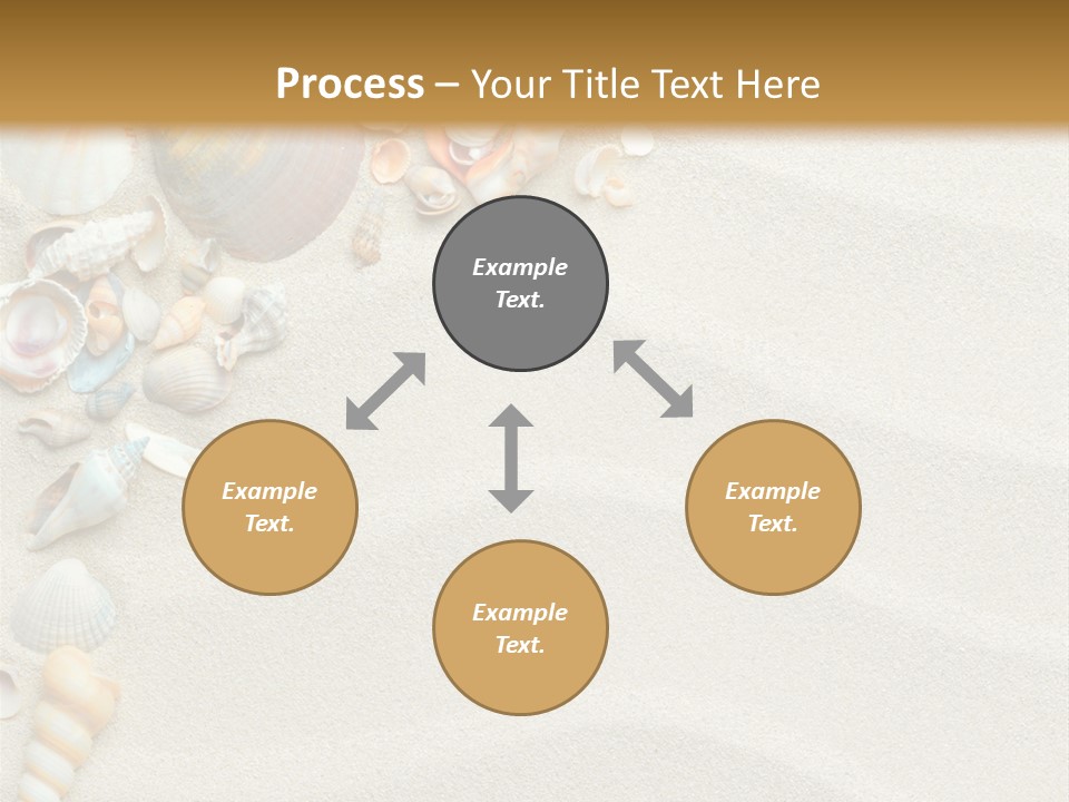 Nature Shore Conch PowerPoint Template