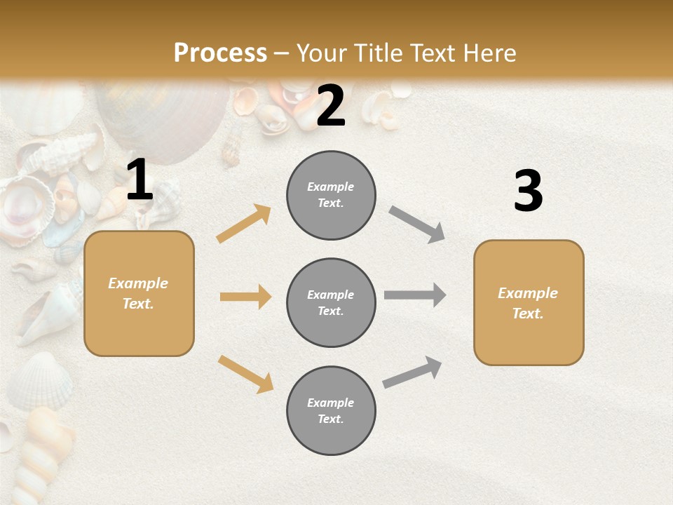 Nature Shore Conch PowerPoint Template