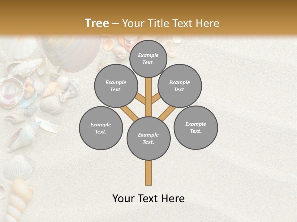 Nature Shore Conch PowerPoint Template