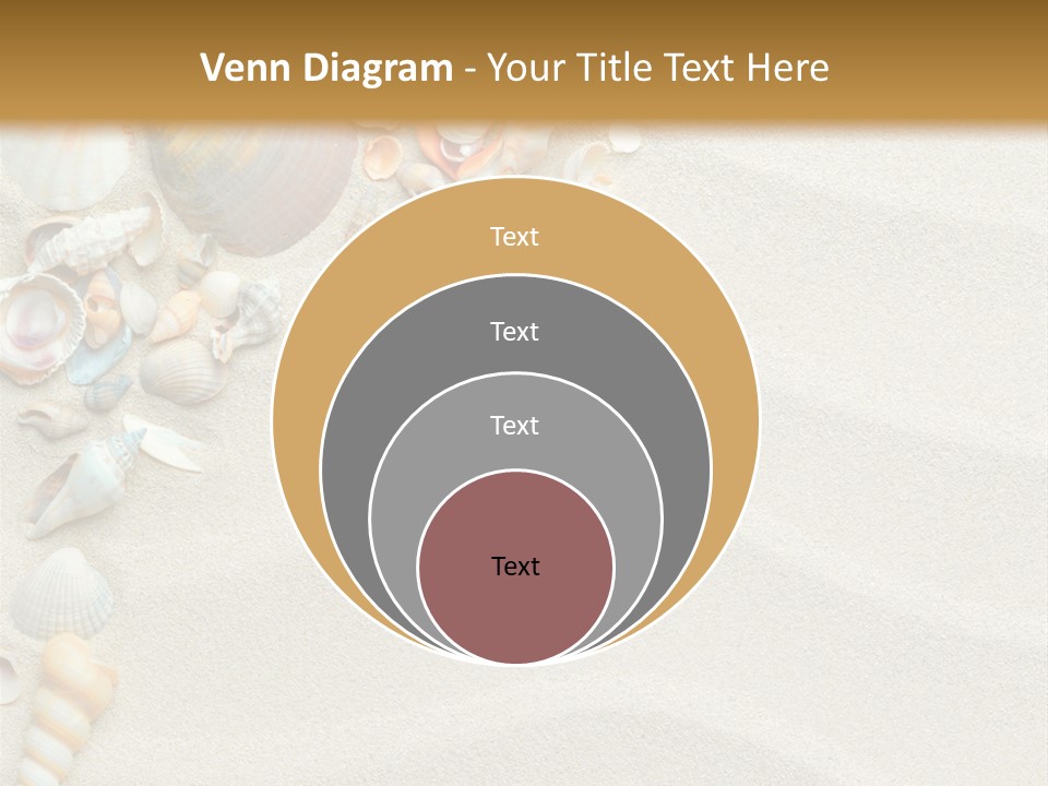 Nature Shore Conch PowerPoint Template