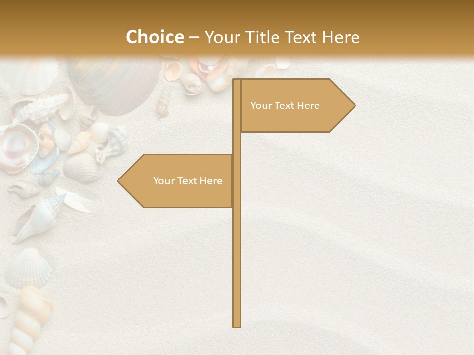 Nature Shore Conch PowerPoint Template