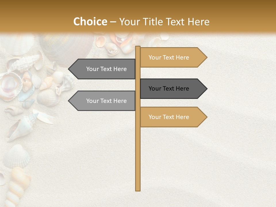 Nature Shore Conch PowerPoint Template