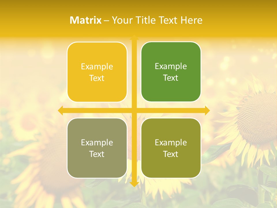 Plantation Colorful Clear PowerPoint Template