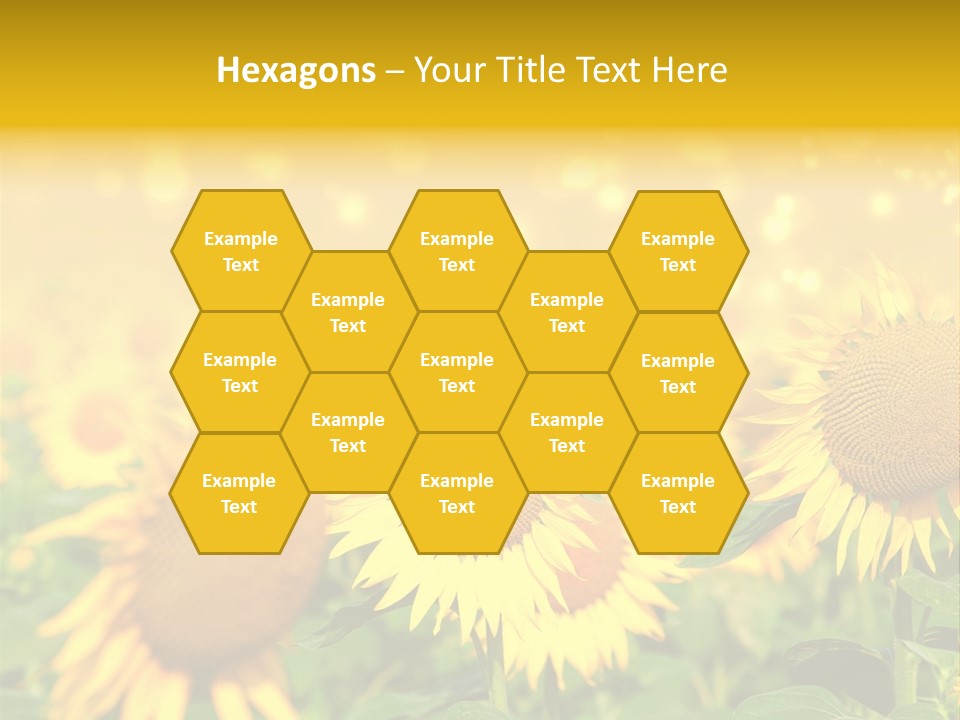 Plantation Colorful Clear PowerPoint Template