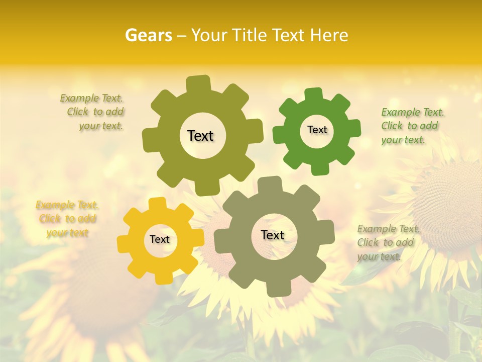 Plantation Colorful Clear PowerPoint Template