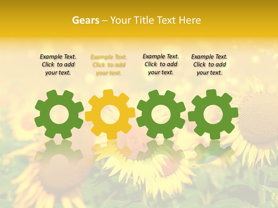 Plantation Colorful Clear PowerPoint Template