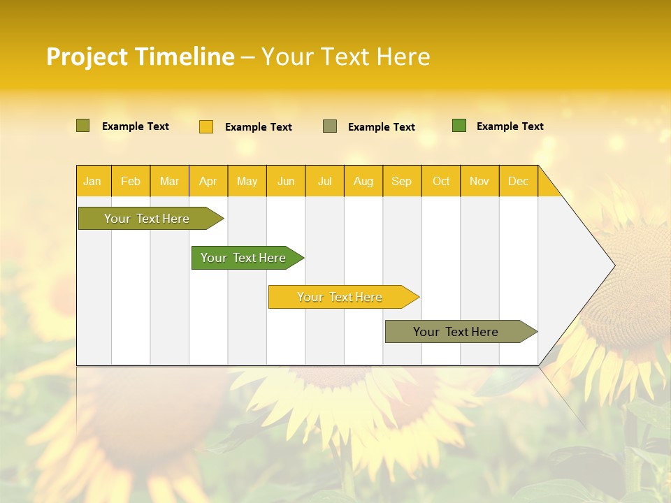 Plantation Colorful Clear PowerPoint Template
