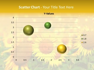 Plantation Colorful Clear PowerPoint Template