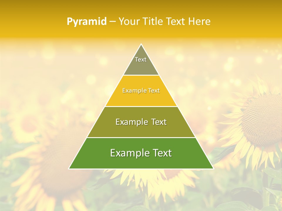 Plantation Colorful Clear PowerPoint Template