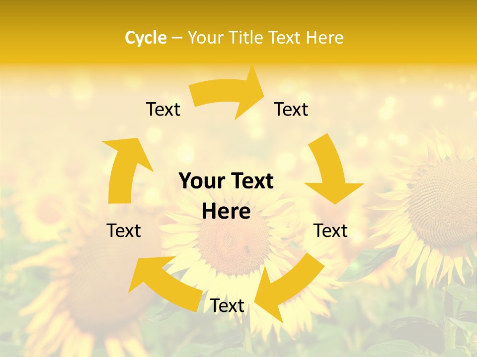 Plantation Colorful Clear PowerPoint Template