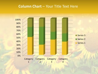 Plantation Colorful Clear PowerPoint Template