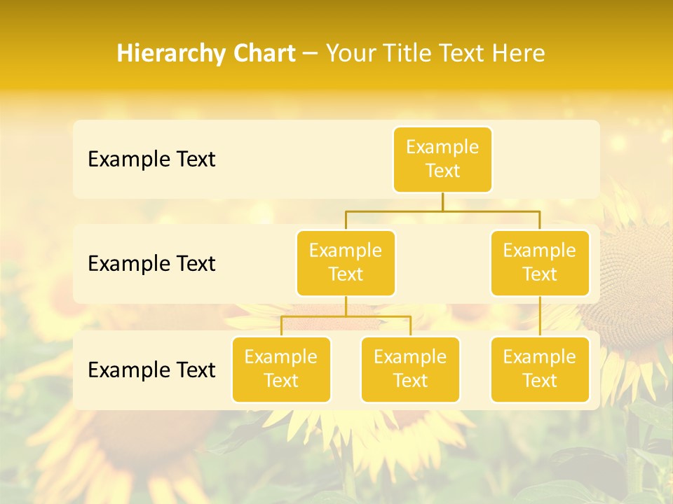 Plantation Colorful Clear PowerPoint Template