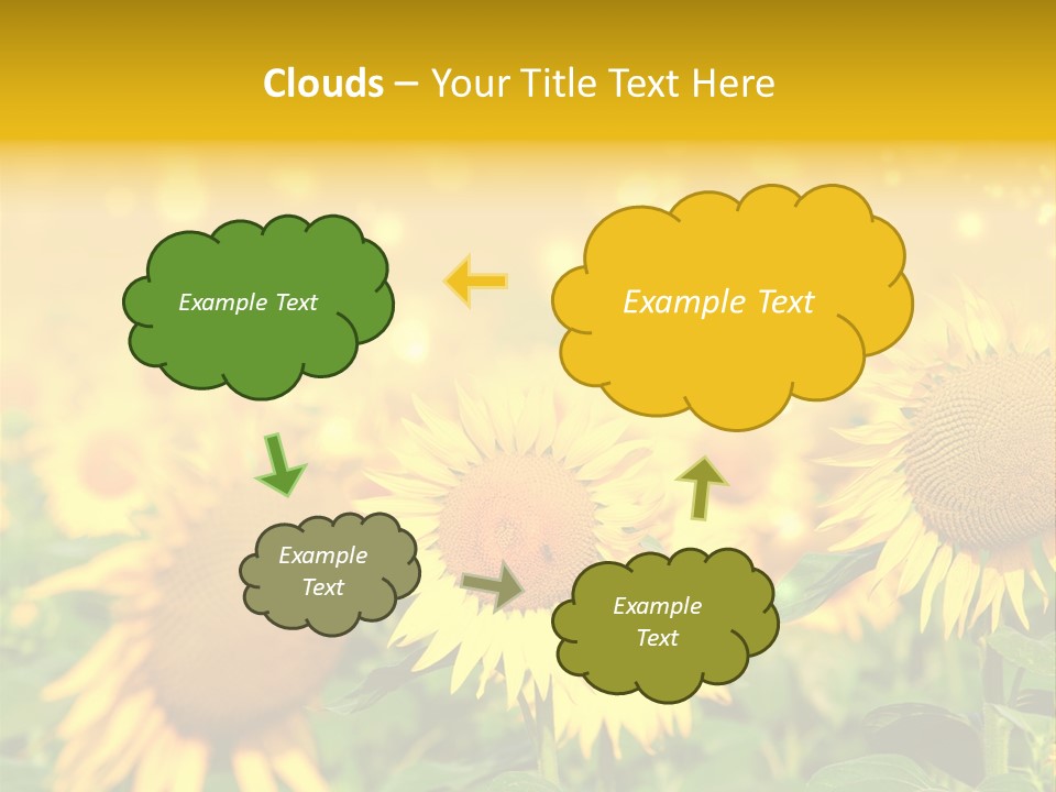 Plantation Colorful Clear PowerPoint Template