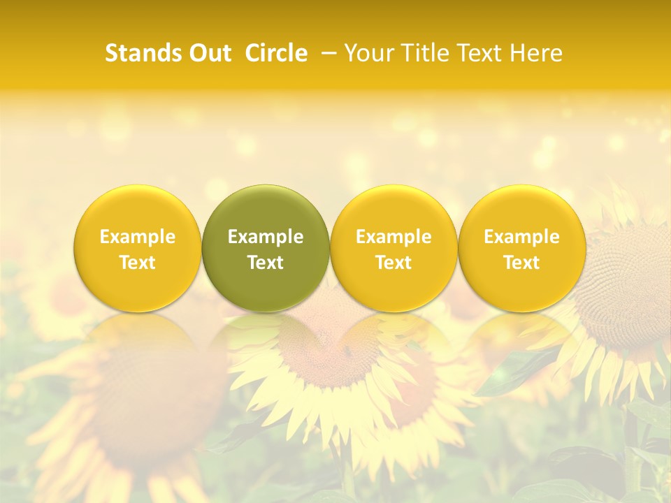 Plantation Colorful Clear PowerPoint Template