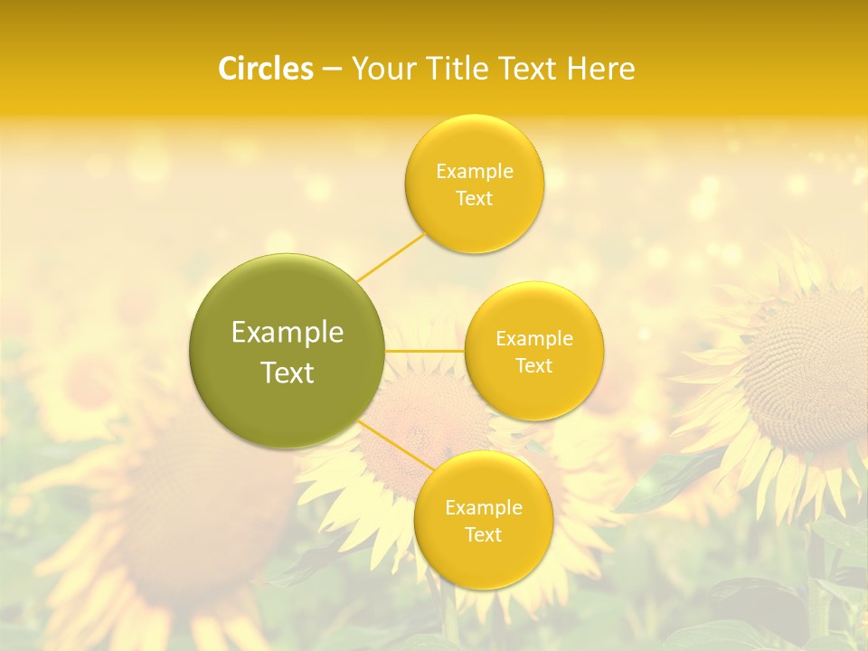 Plantation Colorful Clear PowerPoint Template