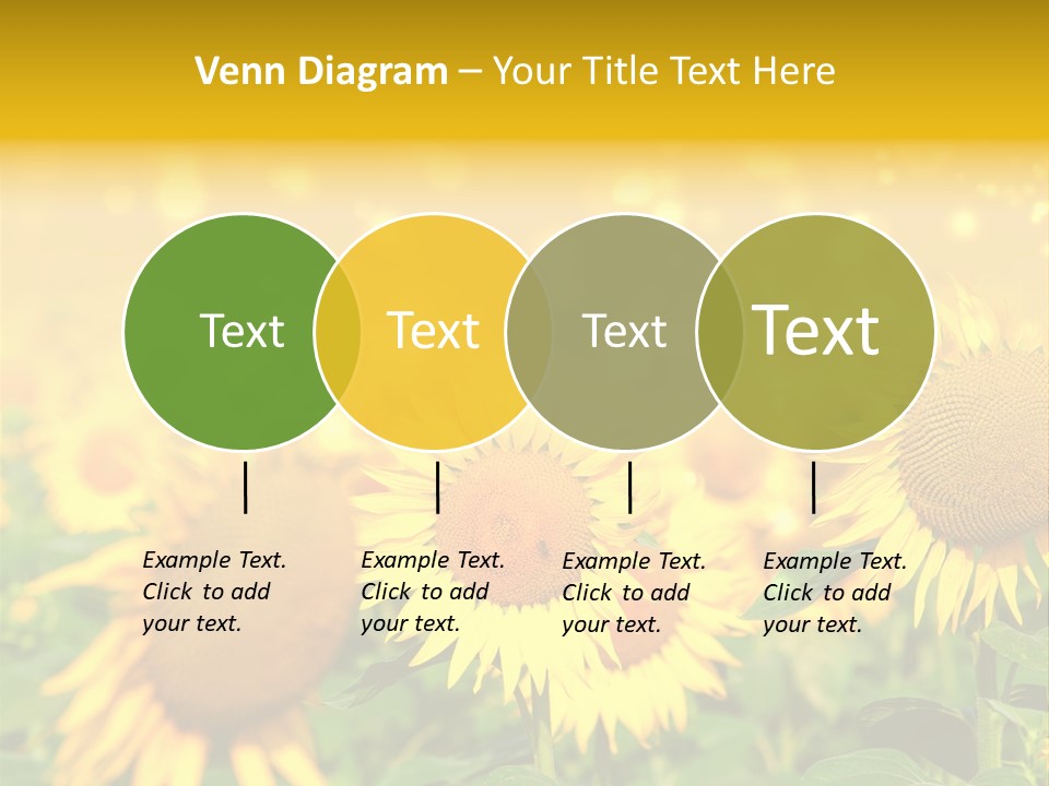 Plantation Colorful Clear PowerPoint Template