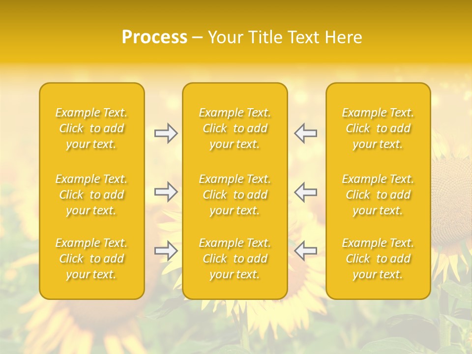 Plantation Colorful Clear PowerPoint Template