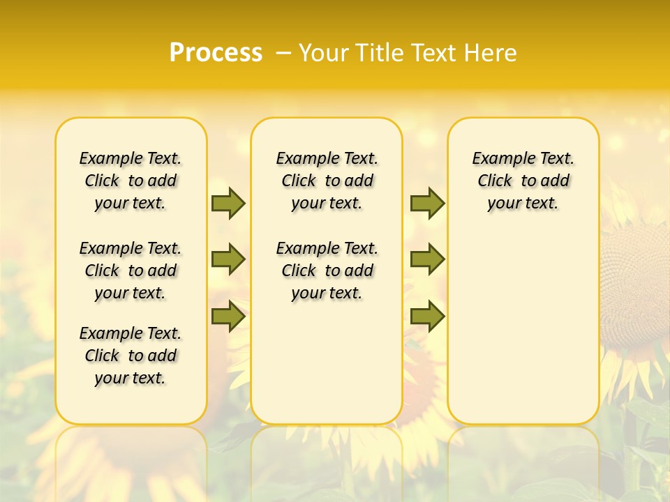 Plantation Colorful Clear PowerPoint Template