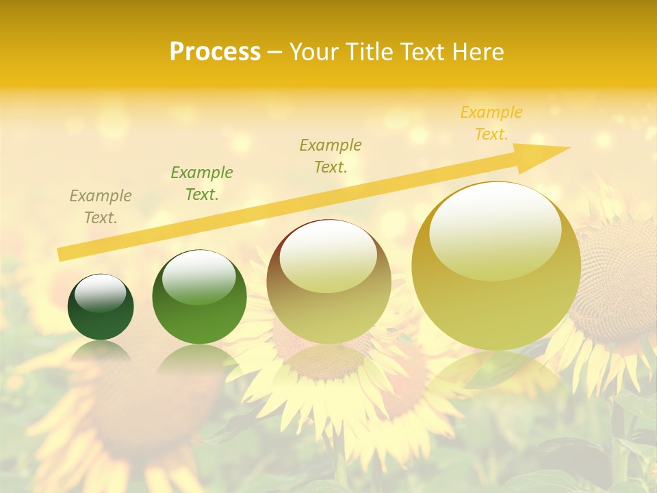 Plantation Colorful Clear PowerPoint Template