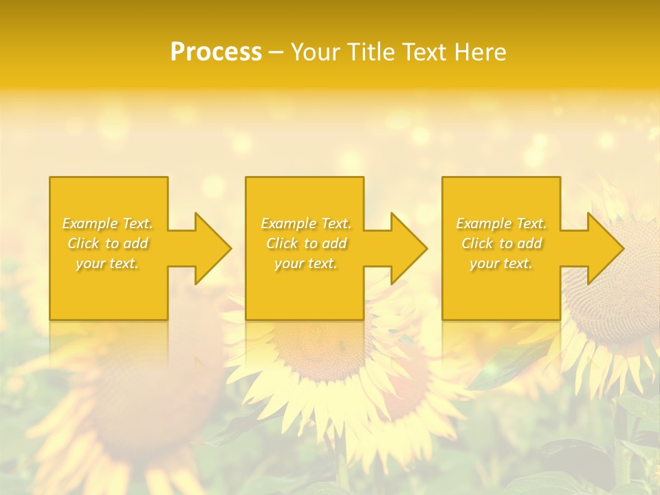 Plantation Colorful Clear PowerPoint Template