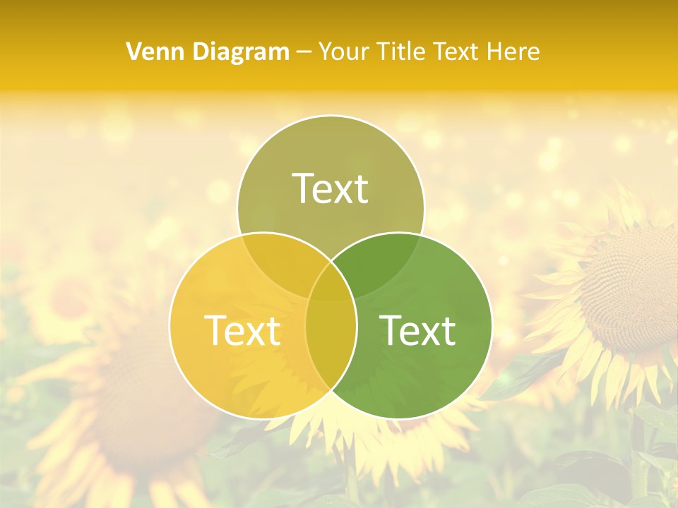 Plantation Colorful Clear PowerPoint Template