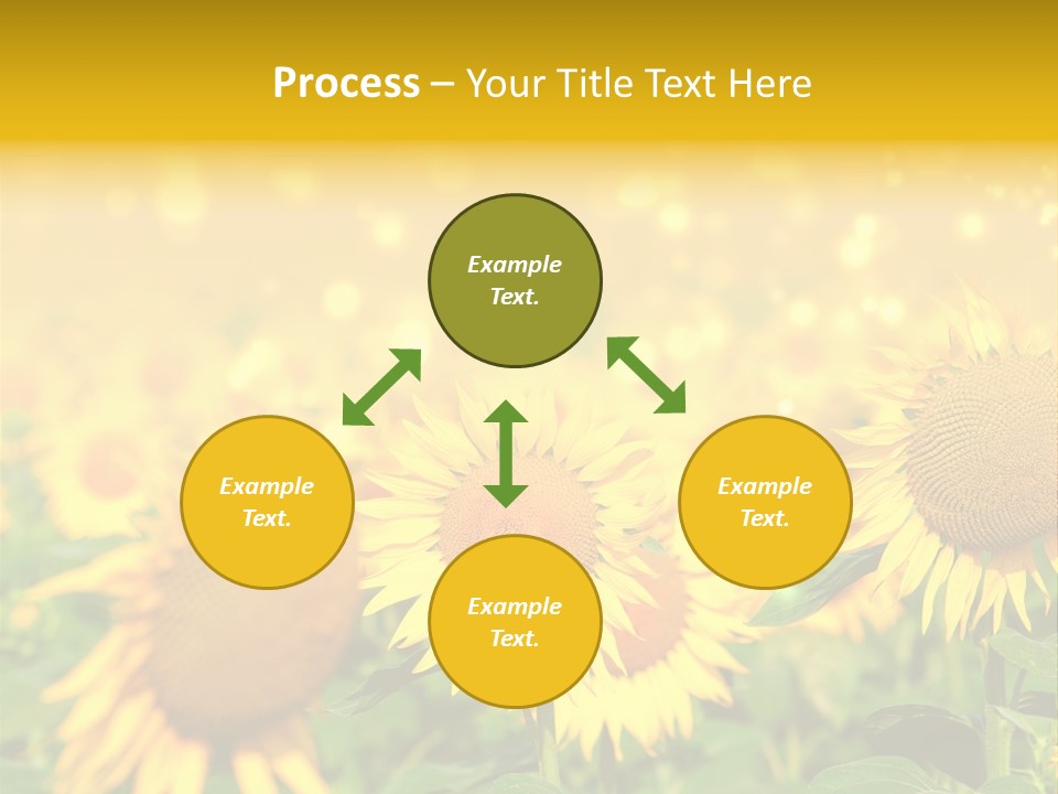 Plantation Colorful Clear PowerPoint Template