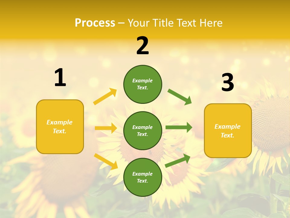 Plantation Colorful Clear PowerPoint Template