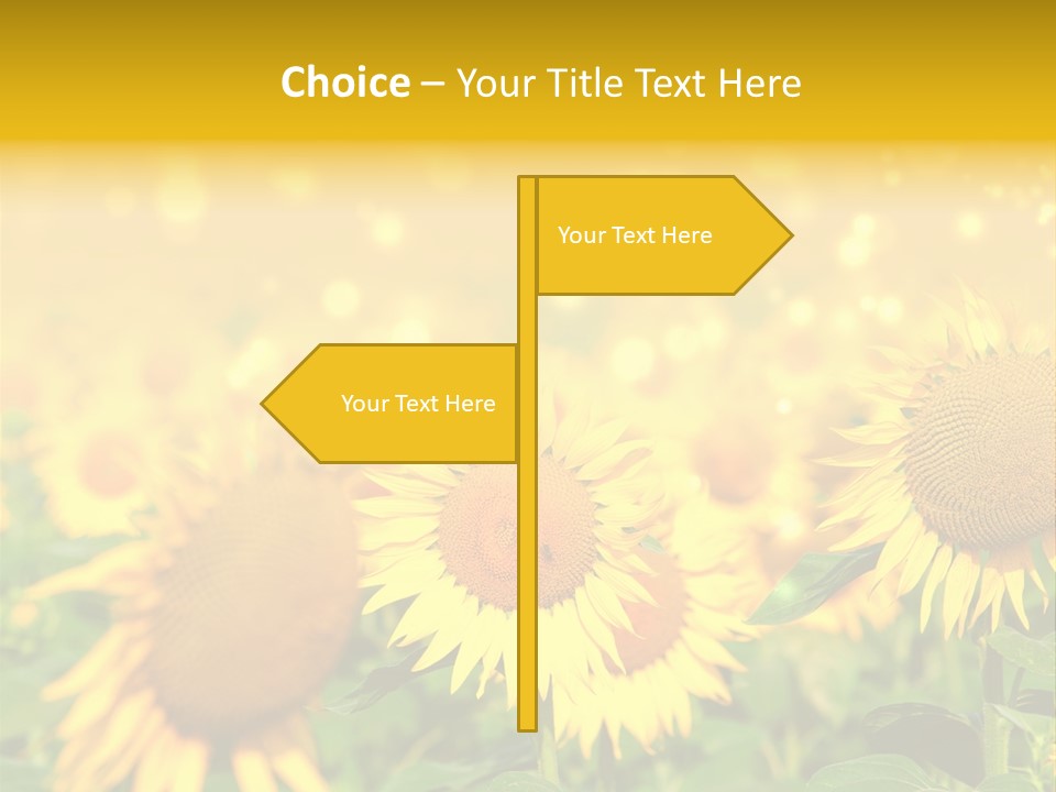 Plantation Colorful Clear PowerPoint Template