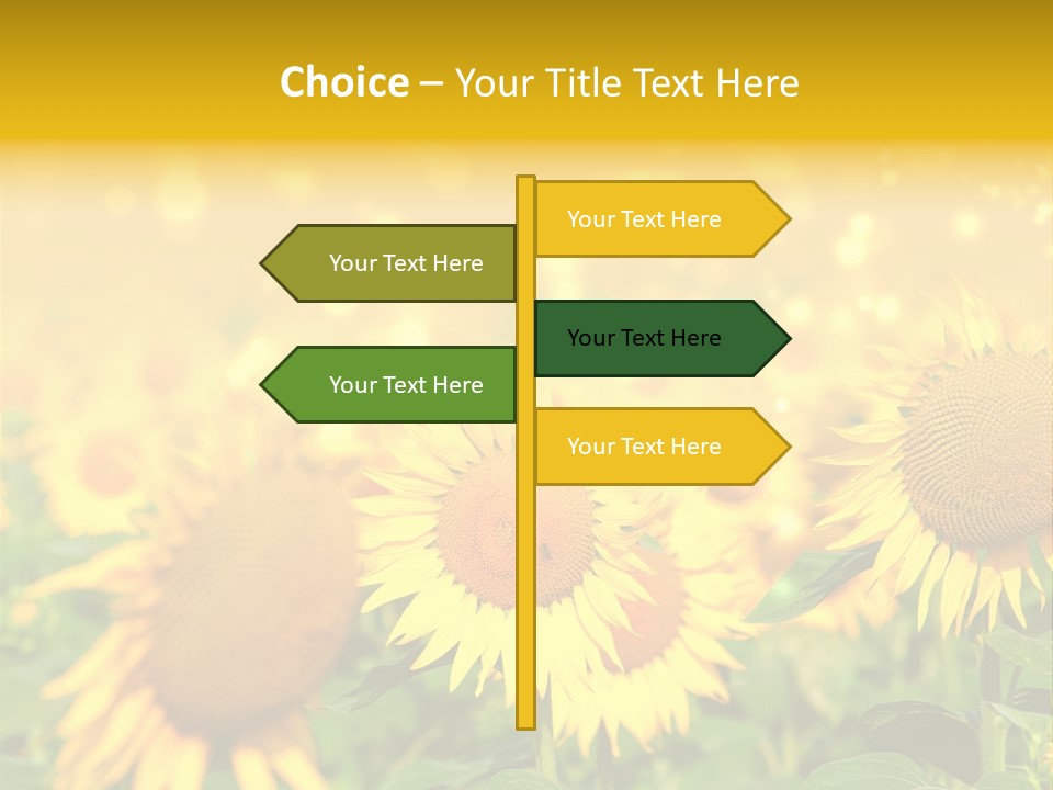 Plantation Colorful Clear PowerPoint Template