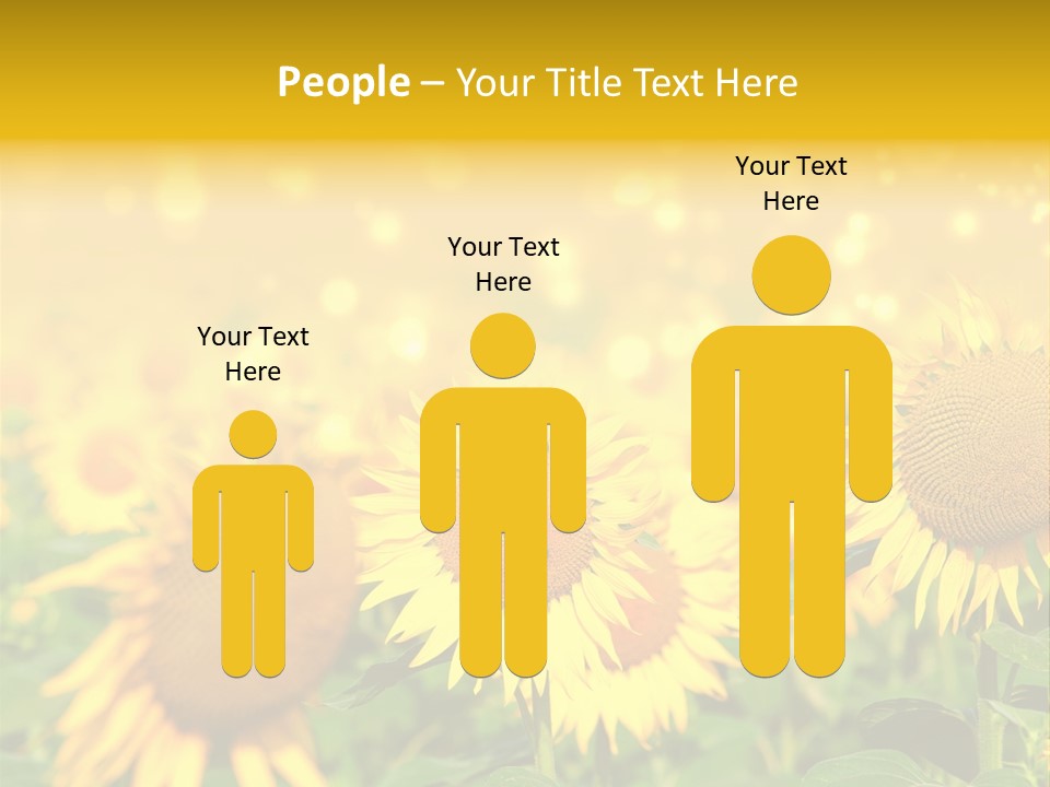 Plantation Colorful Clear PowerPoint Template