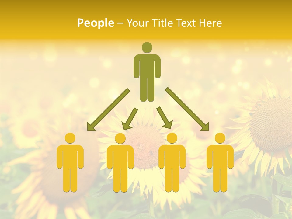 Plantation Colorful Clear PowerPoint Template