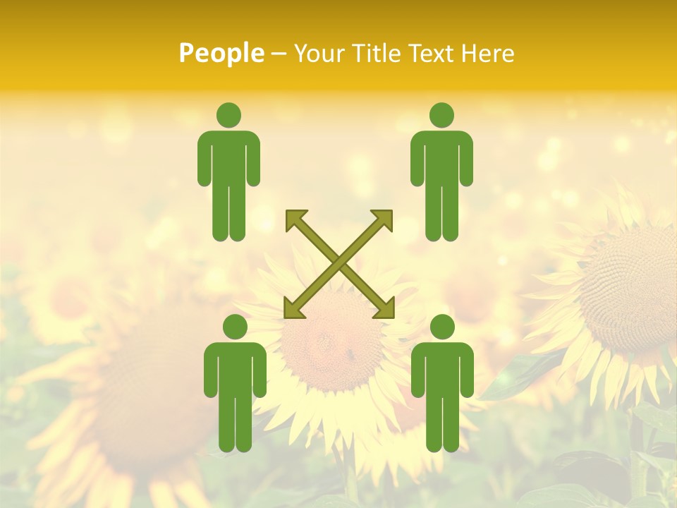 Plantation Colorful Clear PowerPoint Template