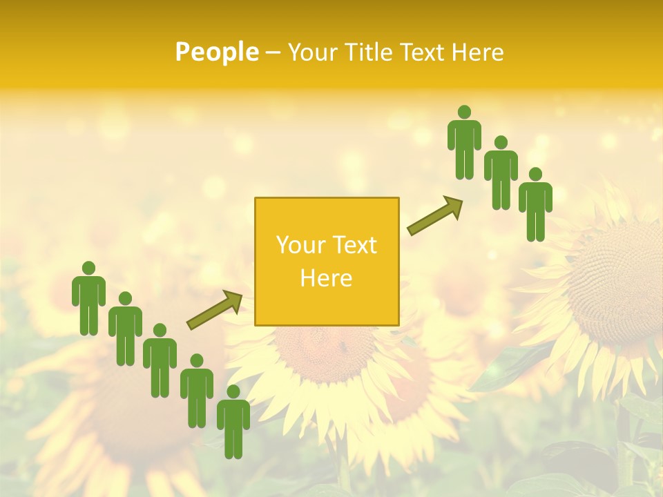 Plantation Colorful Clear PowerPoint Template