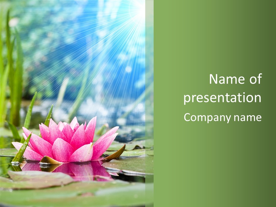 Decoration Springtime Aquatic PowerPoint Template