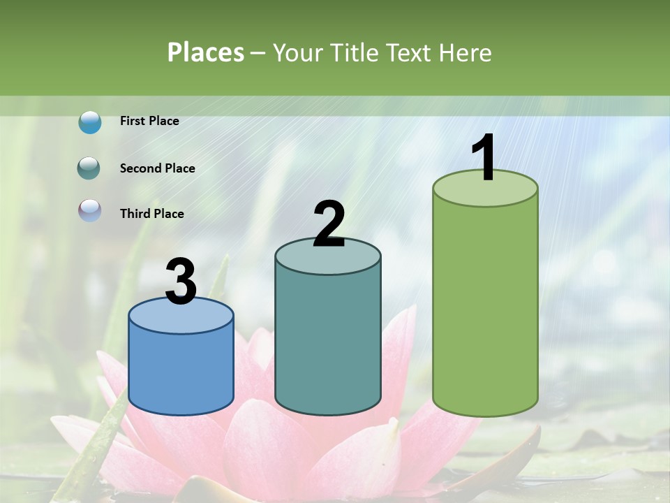 Decoration Springtime Aquatic PowerPoint Template