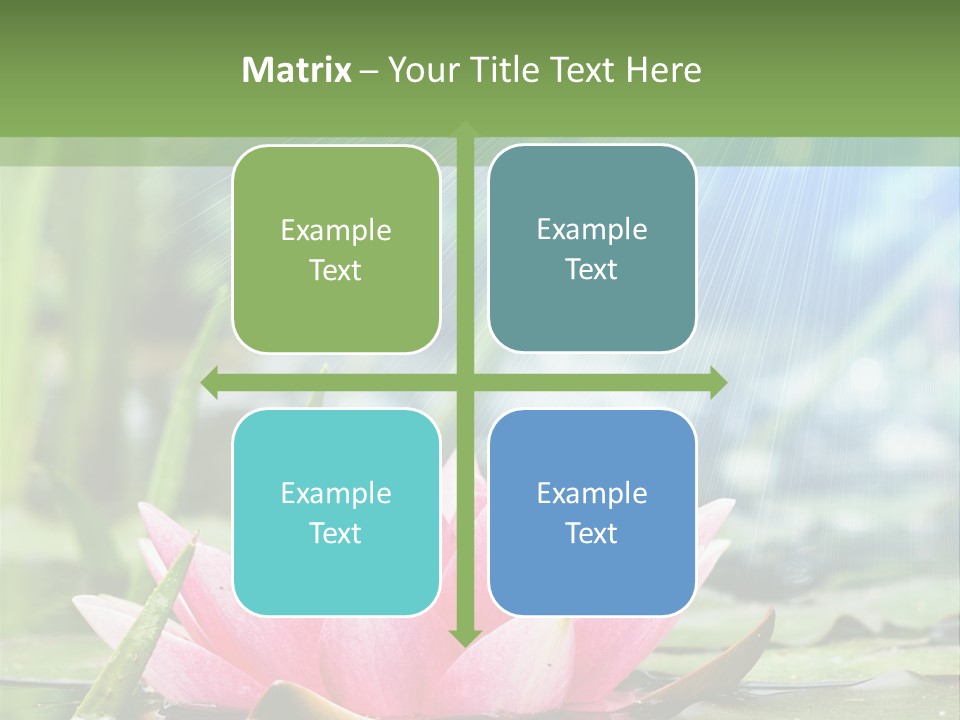 Decoration Springtime Aquatic PowerPoint Template