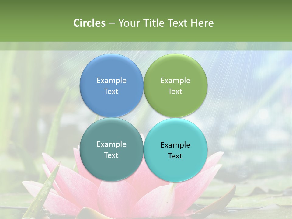 Decoration Springtime Aquatic PowerPoint Template