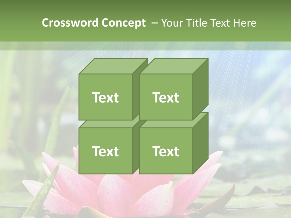 Decoration Springtime Aquatic PowerPoint Template
