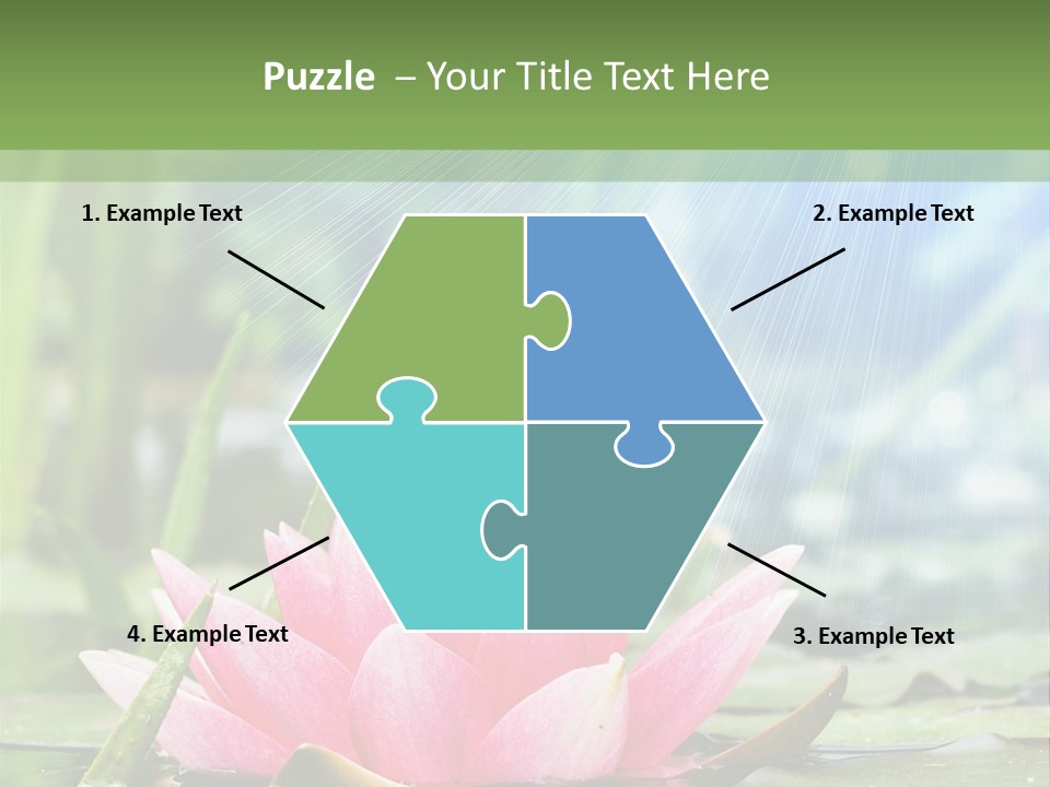 Decoration Springtime Aquatic PowerPoint Template