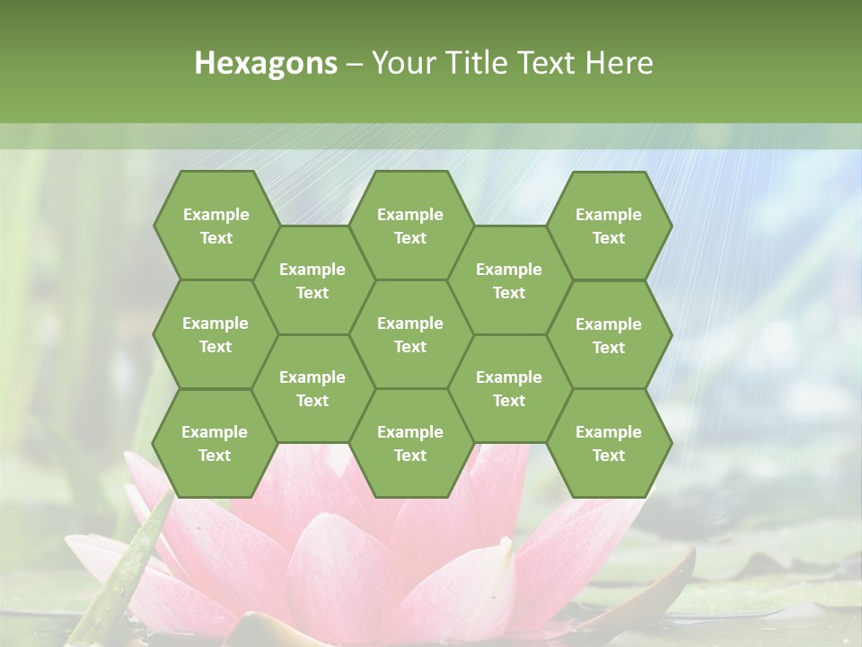 Decoration Springtime Aquatic PowerPoint Template