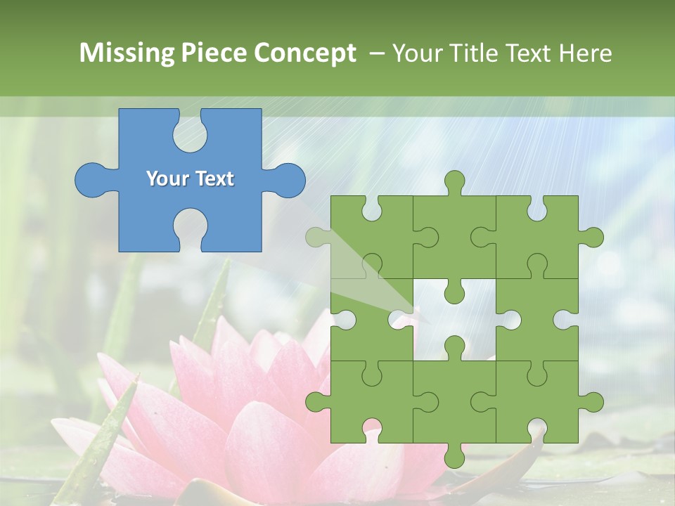 Decoration Springtime Aquatic PowerPoint Template