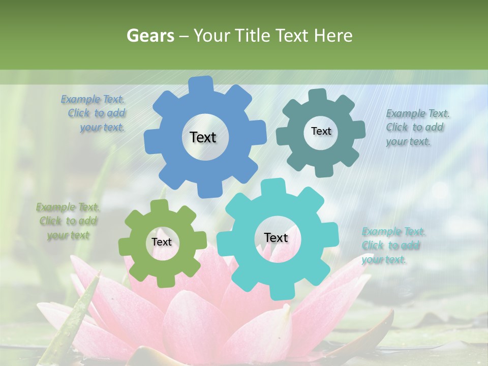 Decoration Springtime Aquatic PowerPoint Template