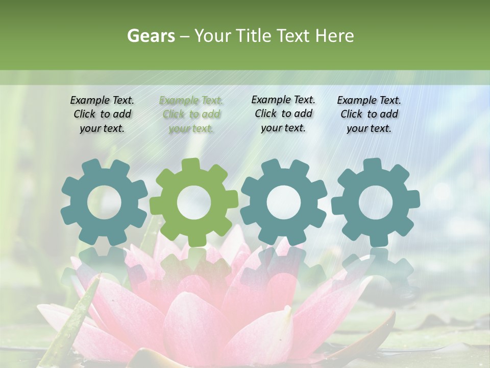 Decoration Springtime Aquatic PowerPoint Template