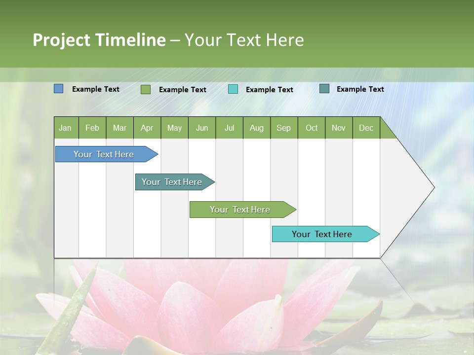 Decoration Springtime Aquatic PowerPoint Template