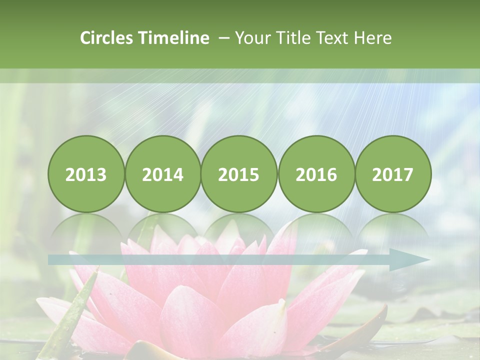 Decoration Springtime Aquatic PowerPoint Template