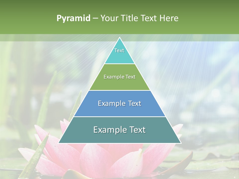 Decoration Springtime Aquatic PowerPoint Template