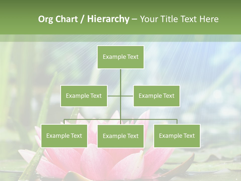 Decoration Springtime Aquatic PowerPoint Template