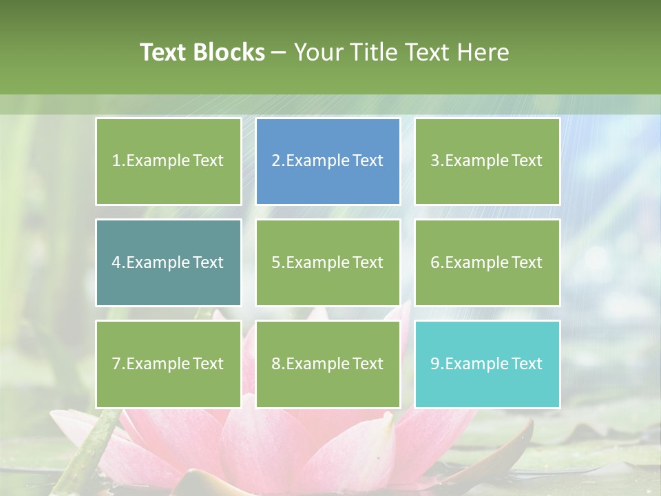 Decoration Springtime Aquatic PowerPoint Template