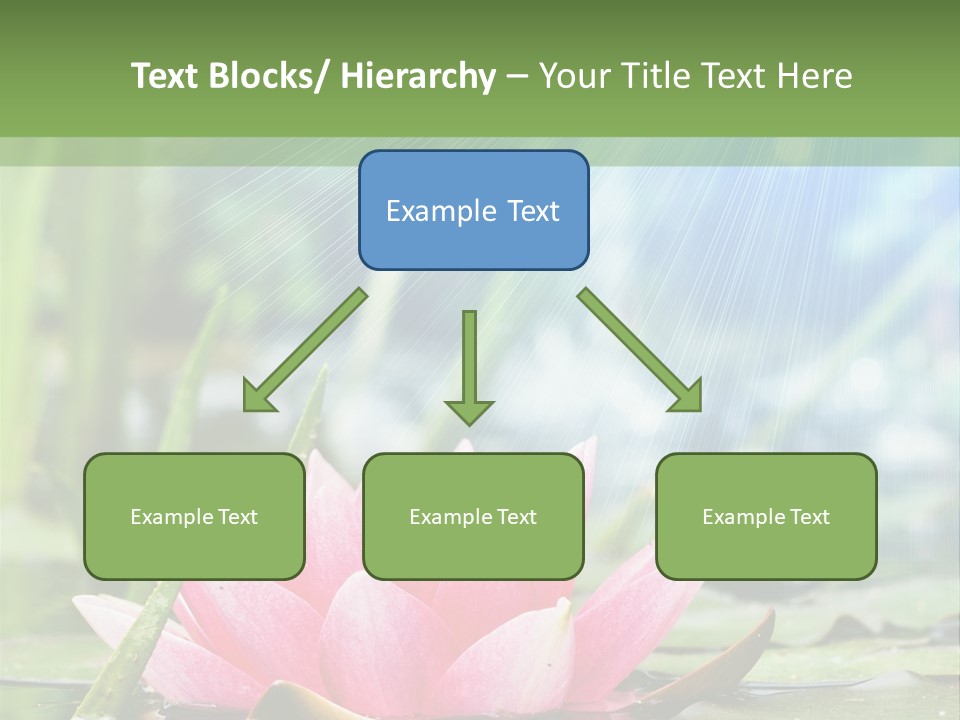 Decoration Springtime Aquatic PowerPoint Template